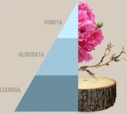 Horomia Wasparfum Fresh Cotton - 500ml 3 Horomia Wasparfum Fresh Cotton - 500ml -Wasbenodigdheden Winkel 1200x1077