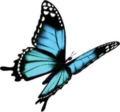 Robijn Klein & Krachtig Wasmiddel Black Velvet 1,19 Liter -Wasbenodigdheden Winkel 1200x1118 2