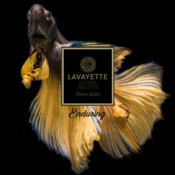 Lavayette Premium Wasparfum - Proefpakket 9x25ml - Geurbooster -Wasbenodigdheden Winkel 1200x1200 1234