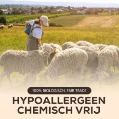 Drogerballen - Droogballen - Wasdrogerballen - Dryerballs - 6 Stuks - XL Formaat - Wol - Set -Wasbenodigdheden Winkel 1200x1200 1513