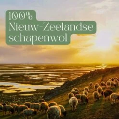 Miki's Goods® XL Wollen Drogerballen 6 Stuks - Panda Wasballen - Duurzaam - Wasbol - 100% Nieuw-Zeelandse Schapenwol - Wasbollen - Herbruikbaar- Droogballen - Snellere Droogtijd - Zuigt Dierenharen Op -Wasbenodigdheden Winkel 1200x1200 1529