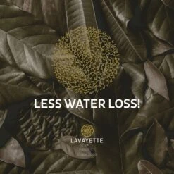 Lavayette XL Drogerballen Met 25ml Wasparfum - WasdrogerBallen – Droogballen – Wasbol – 100% Nieuw-Zeelands Schapenwol – Milieu- En Diervriendelijk – 6 Stuks -Wasbenodigdheden Winkel 1200x1200 1580