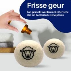 Waspakket - 6 Drogerballen - 2 Wasbollen - Maatschepje - Wasdoekje - Doseerbol - Wasbol - Doseerbollen -Wasbenodigdheden Winkel 1200x1200 1630