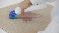 Dr. Beckmann Tapijtvlekkenborstel - Tapijtreiniging - Tapijt Vlekverwijderaar Met Borstel - Schoon Tapijt - Dierenvlekkenverwijderaar -Wasbenodigdheden Winkel 1200x674 1