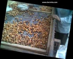 Wasnoten Start 150gr Met Waszakje - Zeepnoten - Natuurlijk Wassen -Wasbenodigdheden Winkel 1200x973 2