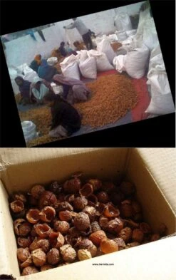 Wasnoten 3kg Met 4 Waszakjes - Zeepnoten - Natuurlijk Wassen - 4x750gr -Wasbenodigdheden Winkel 755x1200 3